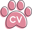 CV